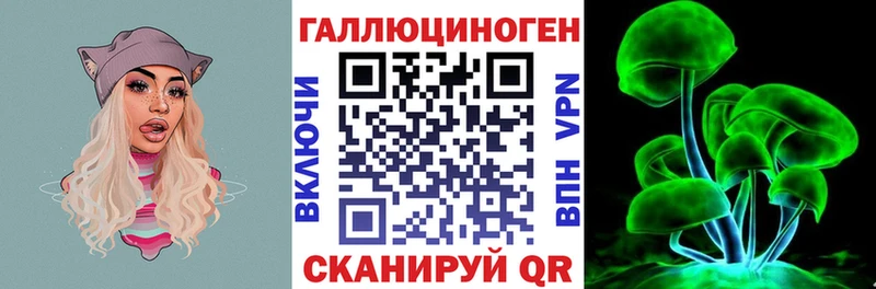 Псилоцибиновые грибы Psilocybe Ленинск